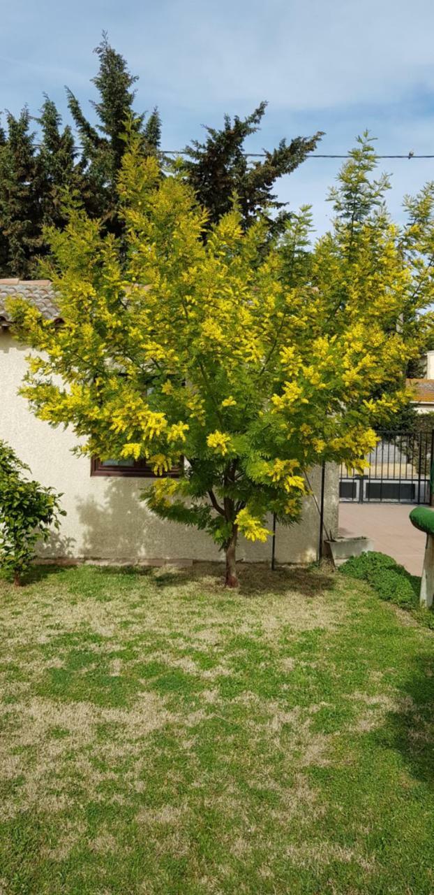 Hotel Longo Mai Arles Exteriér fotografie